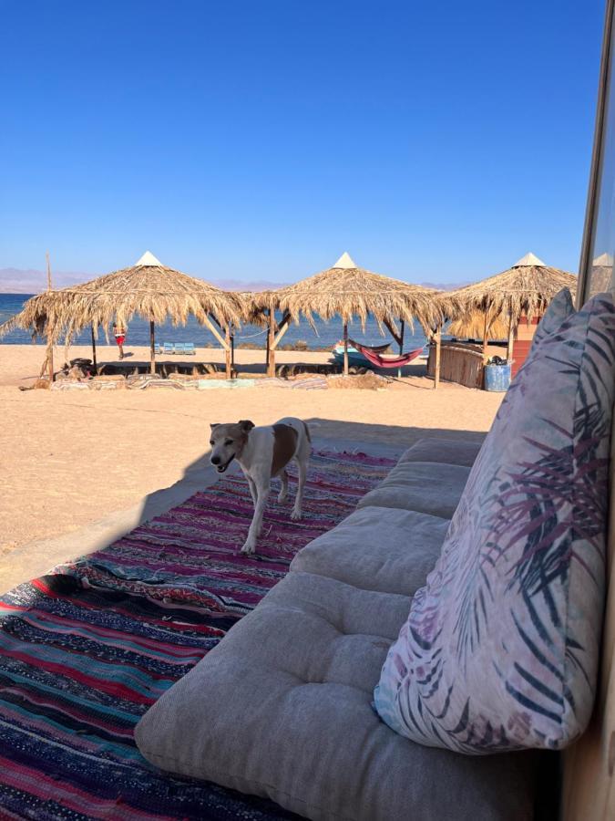 Abdo Caribbean Camp 호텔 Nuweiba` 외부 사진